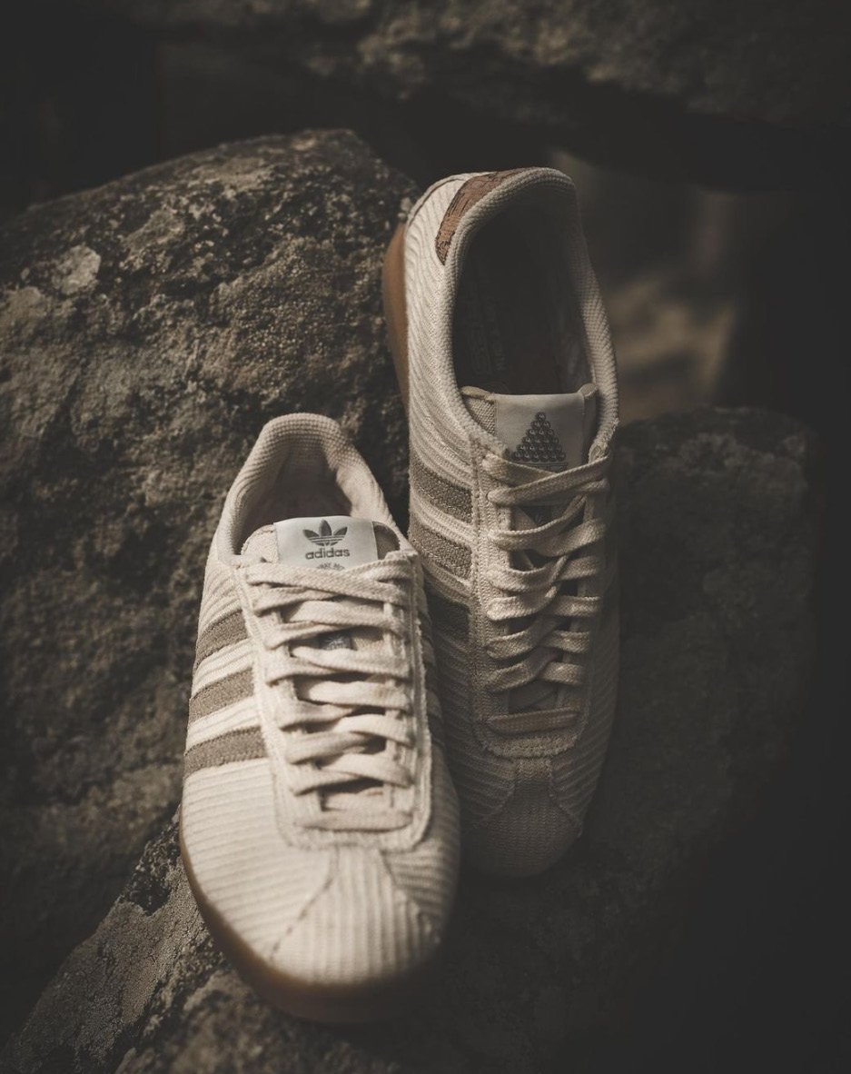 Gazelle and New York on a rock