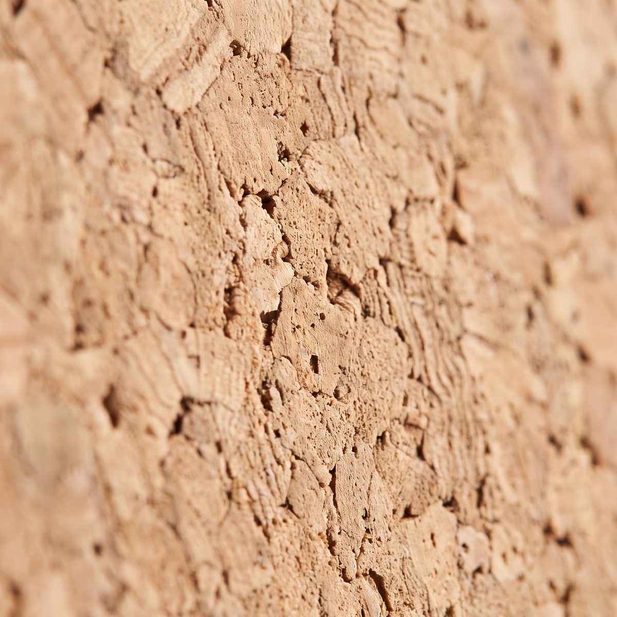 Close-up of the cork