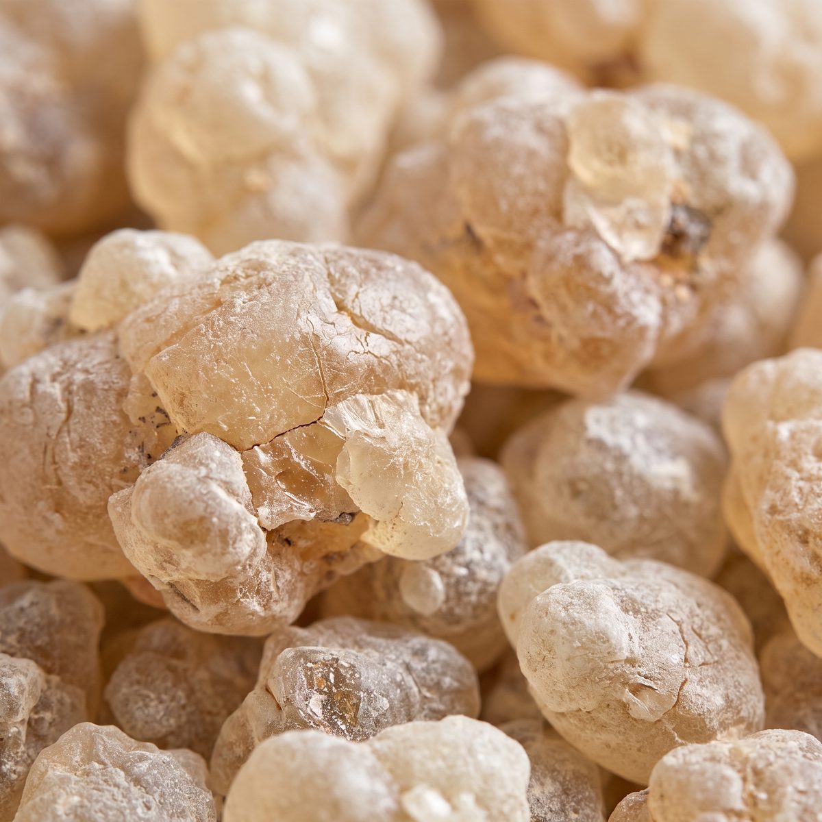 Close-up of copal resin