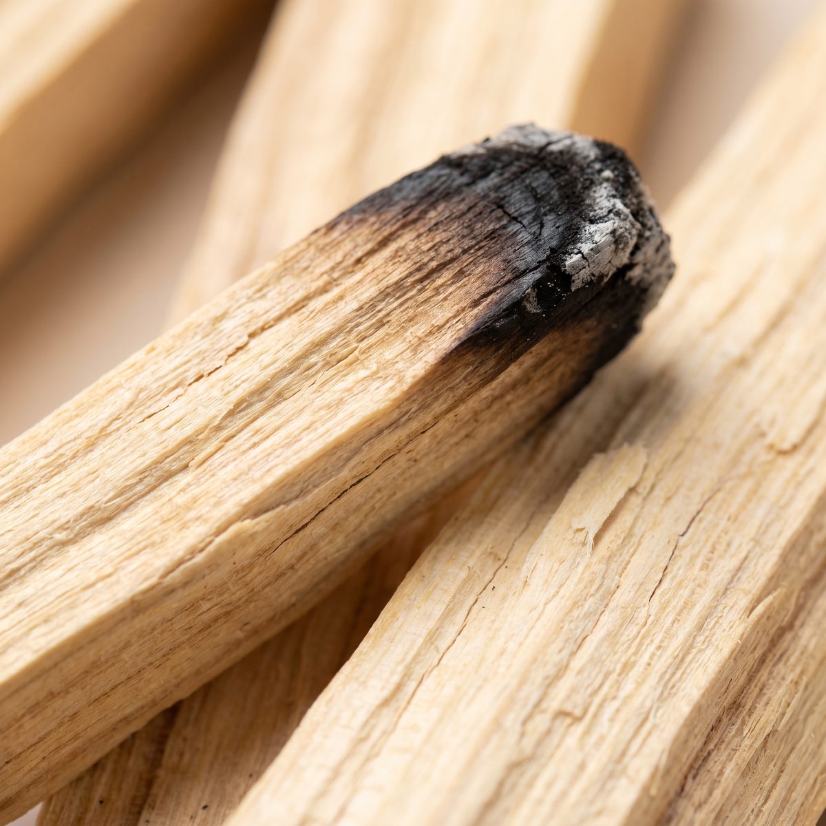 Close-up of palo santo